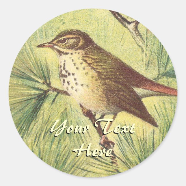 Stickers vintage Hermit Thrush (Devant)