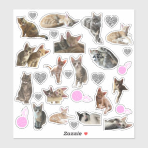 Stickers Vinyle Kiss-Cut Photo Chat