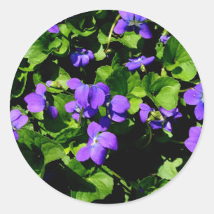Stickers Violet