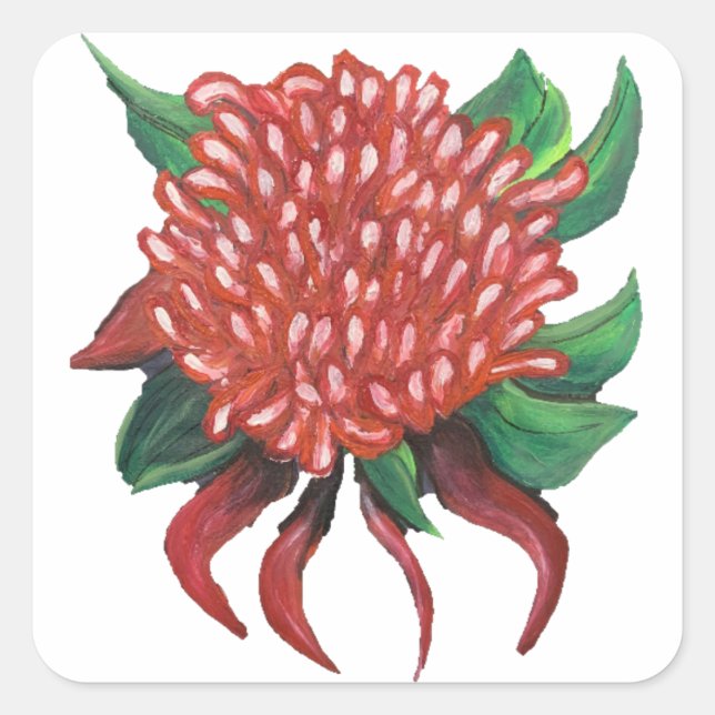 Stickers Waratah dessinés à la main (Devant)