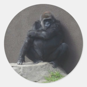 Stickers Western Lowland Gorilla #2