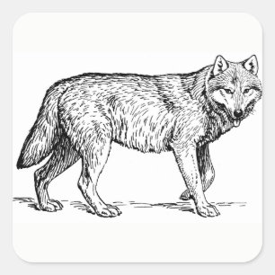 Stickers Wolf