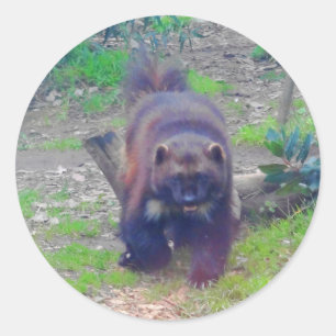 Stickers Wolverine #1
