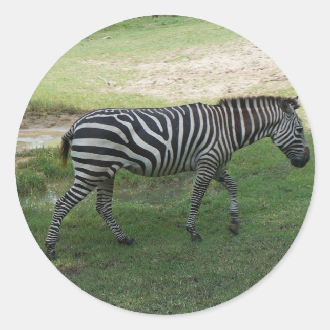 Stickers Zebra (Devant)