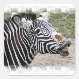 Stickers Zebra souriants