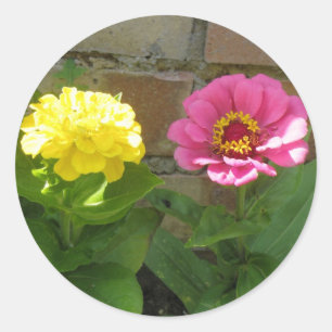 Stickers Zinnias rose et jaune