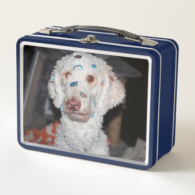 Sticky Poodle Metall Brotdose (Vorderseite)