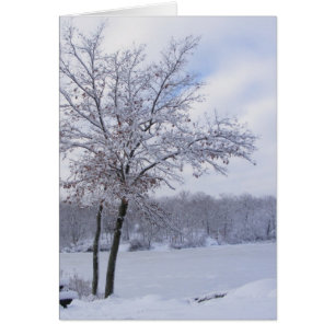 Sticky Snow 24 ~ Karte