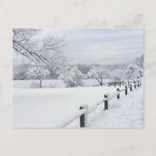 Sticky Snow 7 ~ carte postale