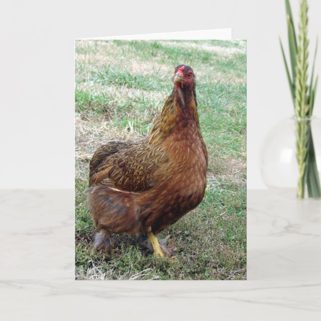 Stiefel Karte (Vorderseite)