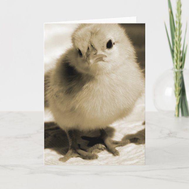 Stiefel Karte (Vorderseite)