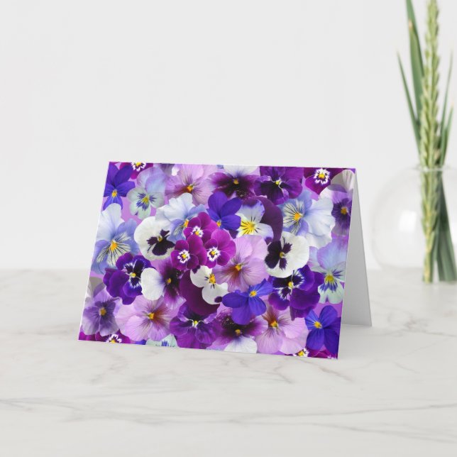 Stiefmütterchen Frühlingsblumen Blankokarte Karte (Vorderseite)