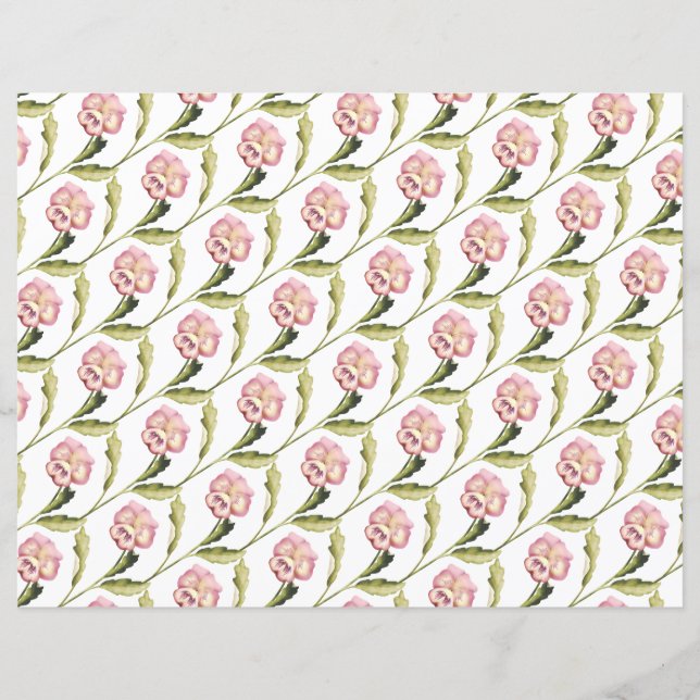 Stiefmütterchen im weißen Hintergrund (Vorderseite)