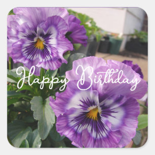Stiefmütterchen Lila Blume floral Blau Alles Gute Quadratischer Aufkleber