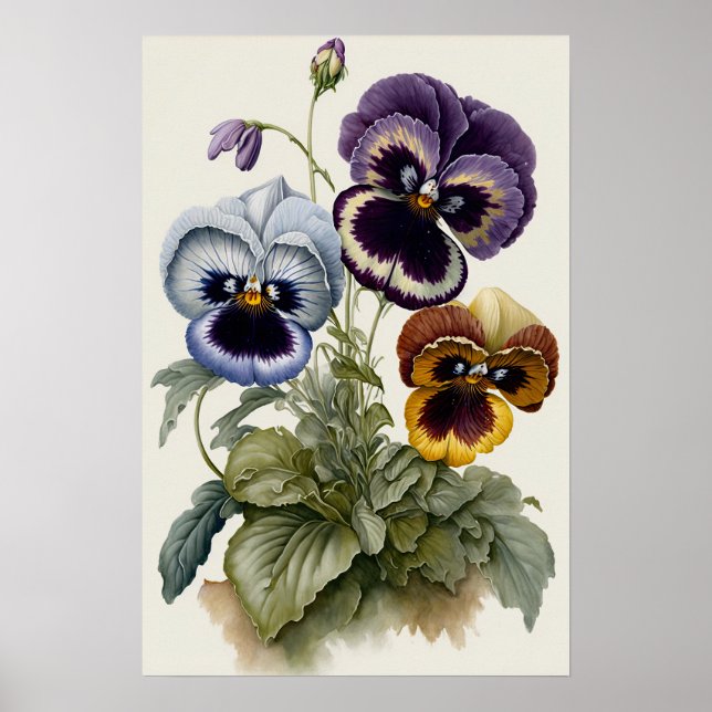 Stiefmütterchen Pansy Blume Art Print Poster (Vorne)