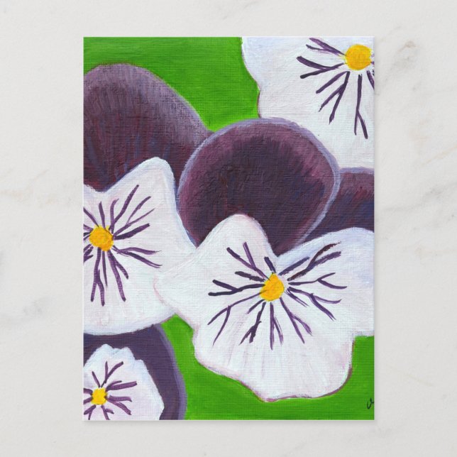 Stiefmütterchen Postkarte (Vorderseite)