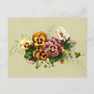 Stiefmütterchen-Sträußchen im Vintage-Stil Postkarte