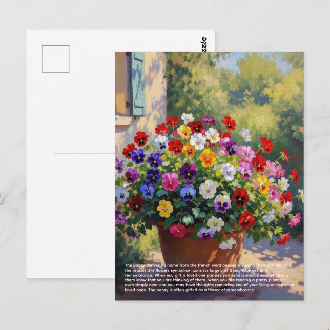 Stiefmütterchen-Symbolik Postkarte (Vorne/Hinten)