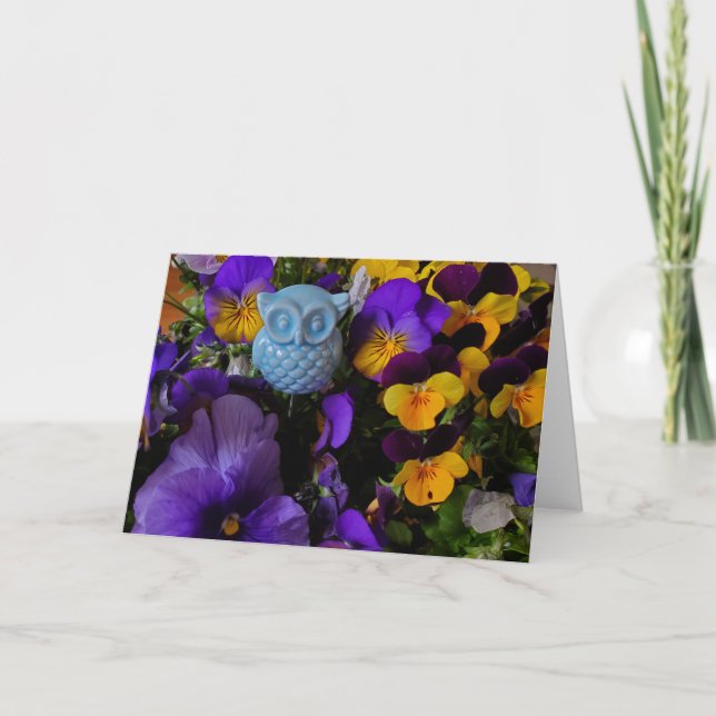 Stiefmütterchen und Eule-Karte Karte (Vorderseite)
