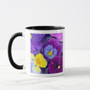 Stiefmütterchenblüten schwimmend im Vogelbad mit T Tasse