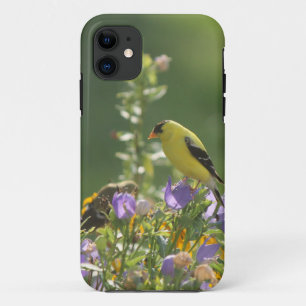 Stieglitz auf einer Glockenblume Case-Mate iPhone Hülle