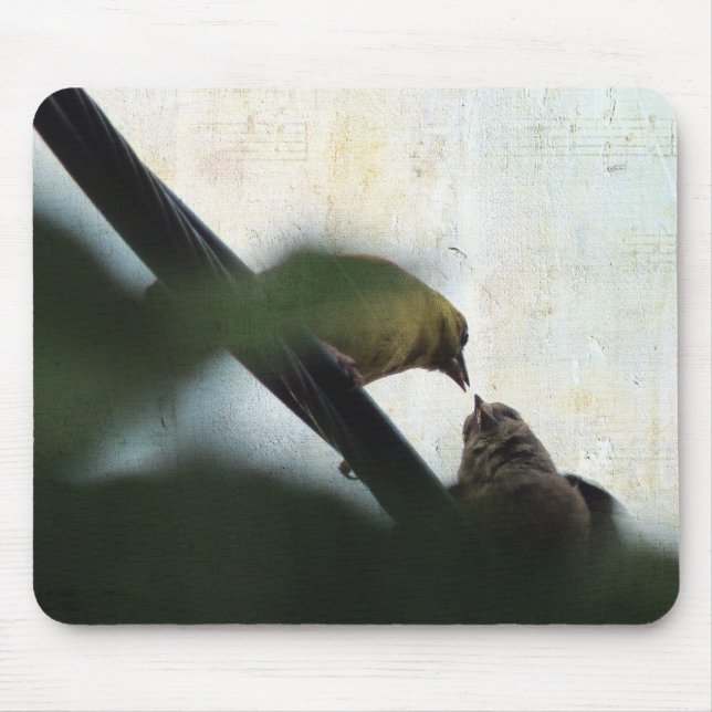 Stieglitz füttert Küken Mousepad (Vorne)