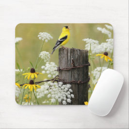 Stieglitz singt auf einem Zaunpfosten Mousepad