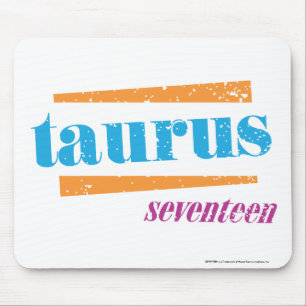 Stier-Aqua Mousepad