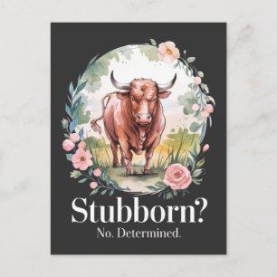Stier: bestimmt, nicht stuborisch postkarte