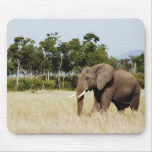 Stier des afrikanischen Elefanten Mousepad