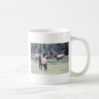 Stier-Elch-Tasse Kaffeetasse