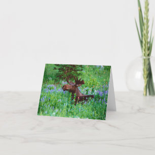 Stier-Elche in der Wildblumen-Anmerkungs-Karte Karte