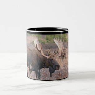 Stier-Elche Zweifarbige Tasse