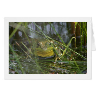 Stier-Frosch-leere Karten