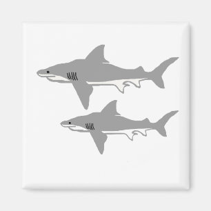 Stier-Haifischmagnet Magnet