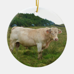 Stier Keramik Ornament