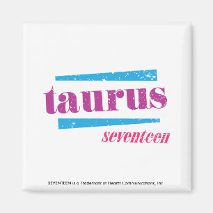 Stier lila magnet