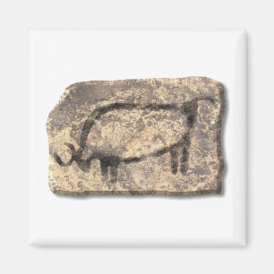 Stier-Stein Magnet