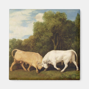 StiereFighting Georges Stubbs  , 1786 (Öl auf Magnet