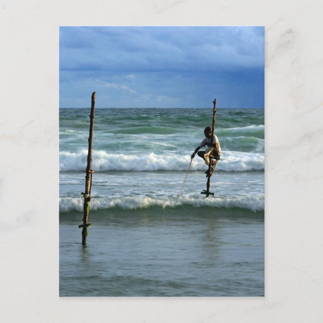 Stierfischer aus Sri Lanka Postkarte (Vorderseite)