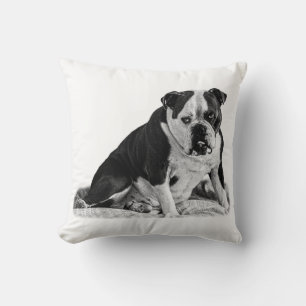 Stierhunde, ruhige Töne Kissen