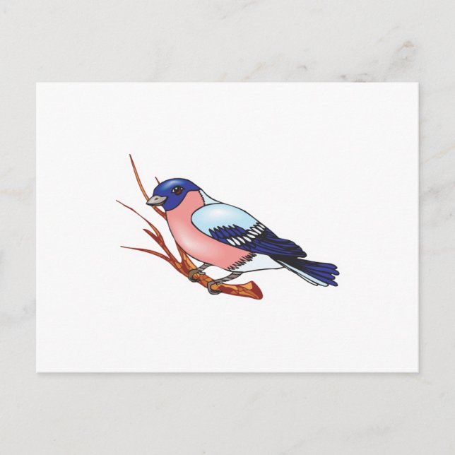 Stiervogel Postkarte (Vorderseite)