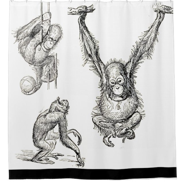 Stift/Tinte Art Zoo Orangutan Kinder Duschvorhang (Vorderseite)
