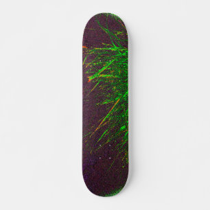 Stil und Design der Skateboards