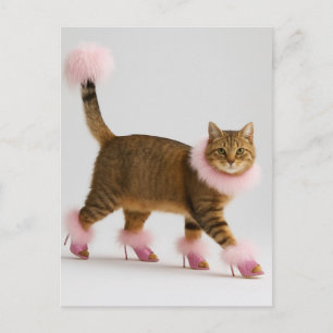 Stilechte Katze in rosa Absätzen und flauschigem G Postkarte