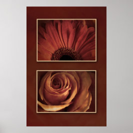 Stilisierte Daisy Rose Floating Images Print Poster