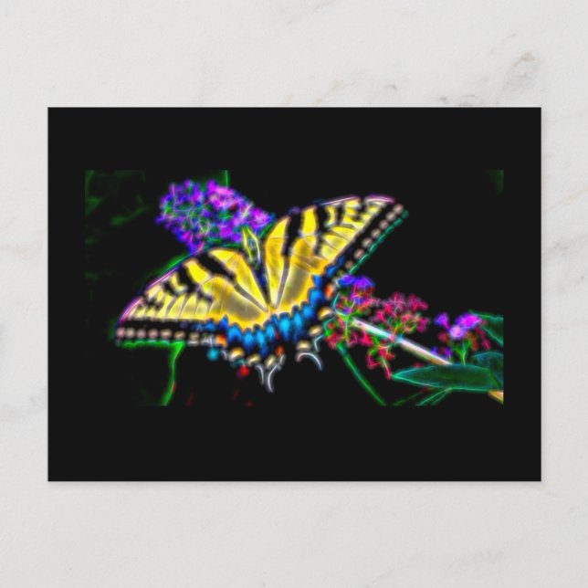 Stilisierte Frack-Schmetterling-Postkarte Postkarte (Vorderseite)