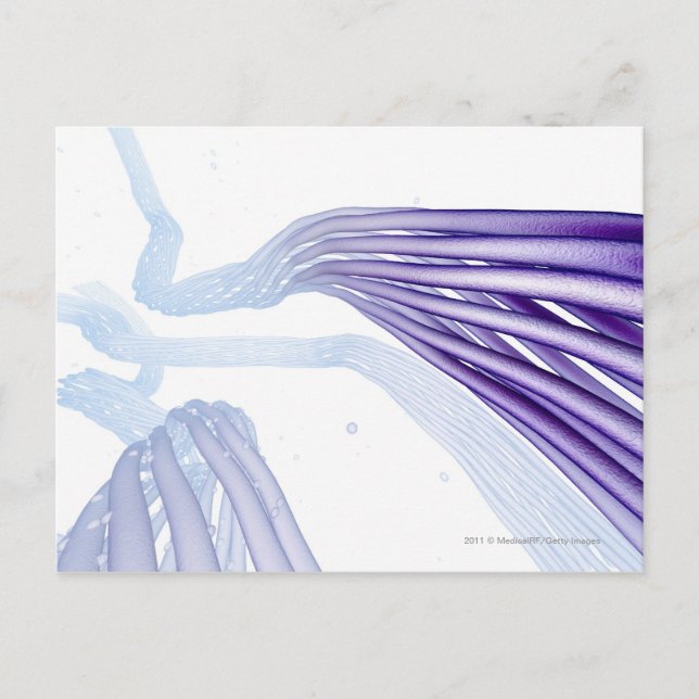 Stilisierte Nervenfasern Postkarte (Vorderseite)