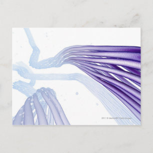 Stilisierte Nervenfasern Postkarte