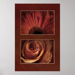 Stilisierter Daisy Rose Matboard-Look-Druck Poster